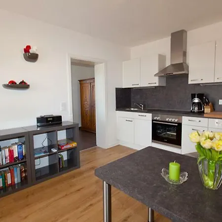 Mit Terrasse Im Haus Mit Grillplatz Dreschvitz